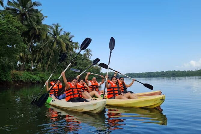 Premium Guided Kayak Tours in the Pristine River Chapora. - The Sum Up
