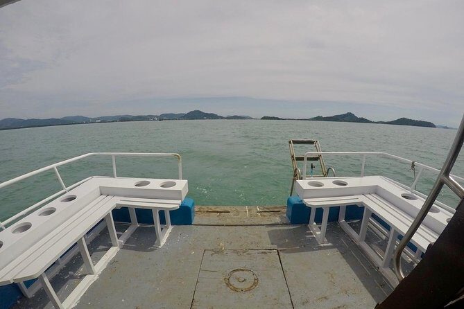 Premium Guided Scuba Diving Day Trip for Certified Divers - The Experiences Drawbacks & Considerations