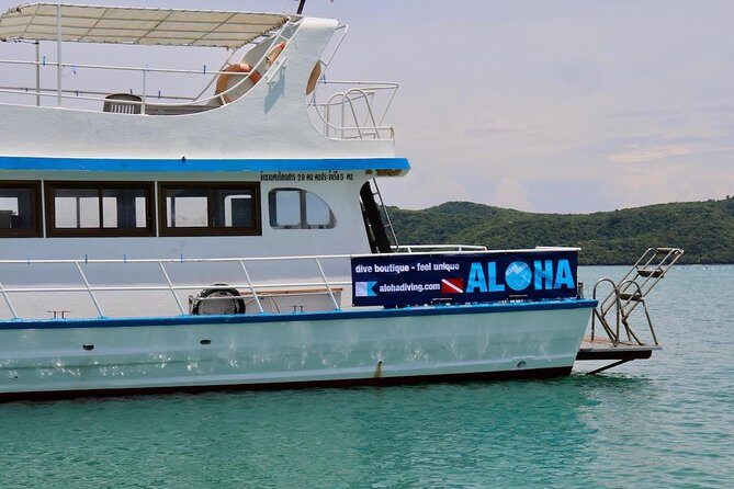 Premium Guided Scuba Diving Day Trip for Certified Divers - The Sum Up
