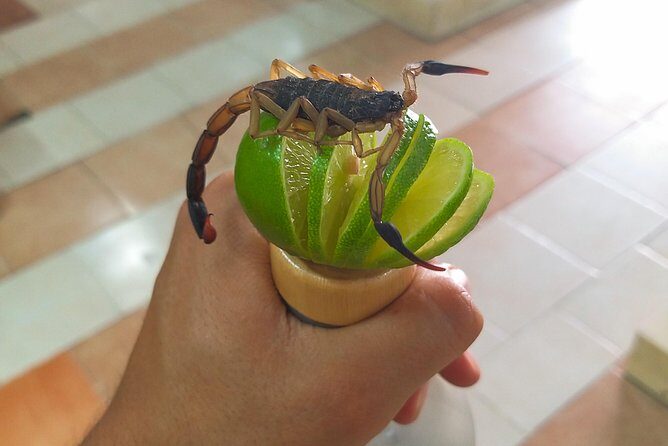 Premium Mezcal Tasting and Class - Authenticity and Review Insights