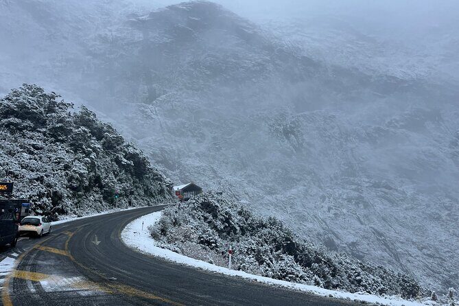 Premium Milford Sound Small Group Tour & Cruise from Queenstown - Food and Comfort