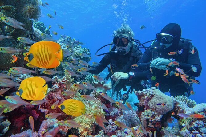 "Premium" Non Certified Beginner Scuba Diving in Racha Yai/Noi - Who Would Love This Tour?
