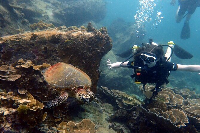 "Premium" Non Certified Beginner Scuba Diving in Racha Yai/Noi - The Sum Up
