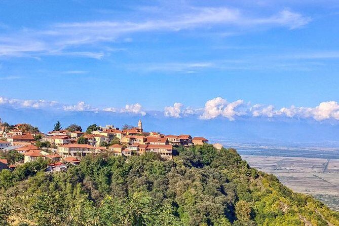Premium & Organic Wine Tour in Kakheti - What Makes This Tour Worth It?