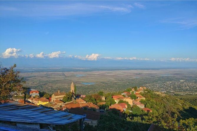 Premium & Organic Wine Tour in Kakheti - FAQs