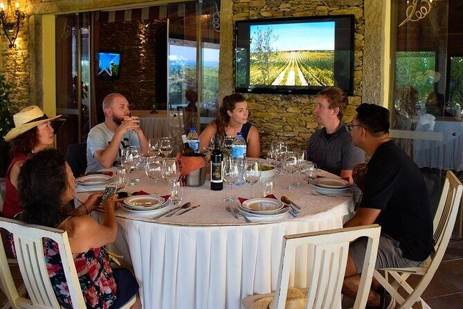 Premium Private Douro Tour: 2 Wineries with Tastings & Cruise - Who Should Choose This Tour?