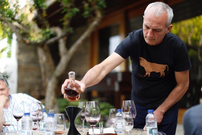 Premium Private Douro Tour: 3 Wineries with Tastings & Lunch - A Deep Dive into the Experience