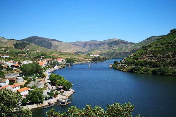 Premium Private Douro Tour: 3 Wineries with Tastings & Lunch - Frequently Asked Questions