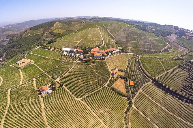 Premium Private Douro Tour: 3 Wineries with Tastings & Lunch - Final Thoughts
