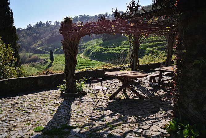 Premium Private Douro & Vinho Verde Tour: Wine Tastings & Lunch - Exploring the Itinerary in Detail