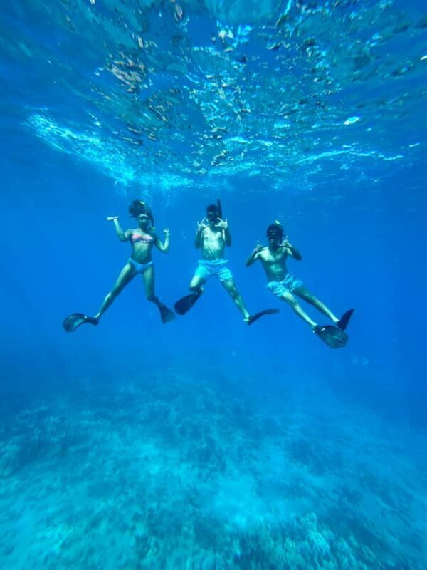 Premium Private Maui Snorkel Adventure with Turtles + Picnic - Key Points