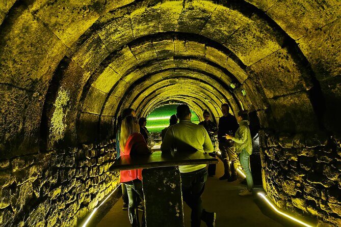 Premium Ribera del Duero tour with winemaker-guide - Practical Details and Considerations