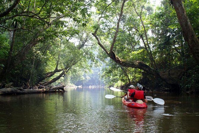 Premium Sea Canoeing Trip at Phang Nga Bay Speed Boat Tour - Final Thoughts