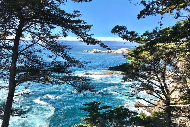 Premium Small Group 5-Day San Francisco Tour w/ Unique Experience - Final thoughts: Is this tour for you?