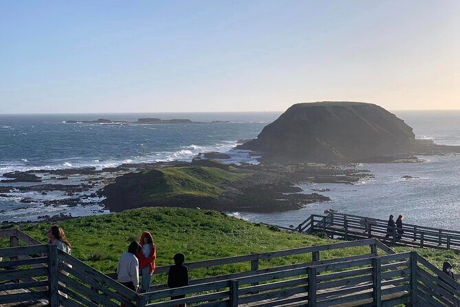 Premium Small Group Philip Island eco Tour - FAQ