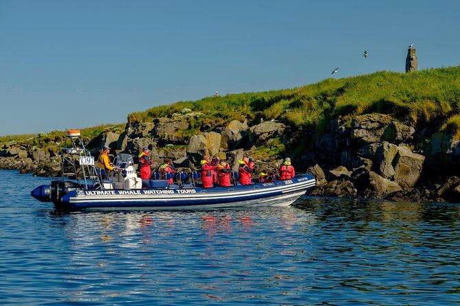 Premium Small-Group Puffin & Bird Watching tour from Reykjavík - Why Choose This Tour?