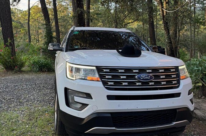 Premium SUV transportation from airport to destination - Who Should Consider This Service?