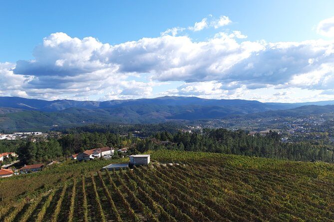 Premium Tasting | Quinta de Santa Cristina Vinho Verde - Who Would Benefit from This Tour?