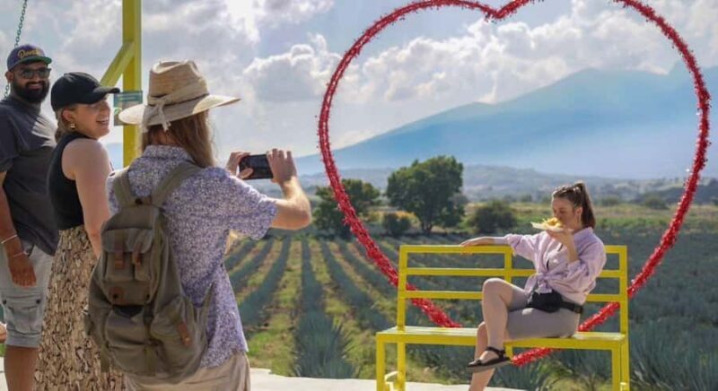 Premium Tequila Route with a professional tasting - Who Should Consider This Tour?