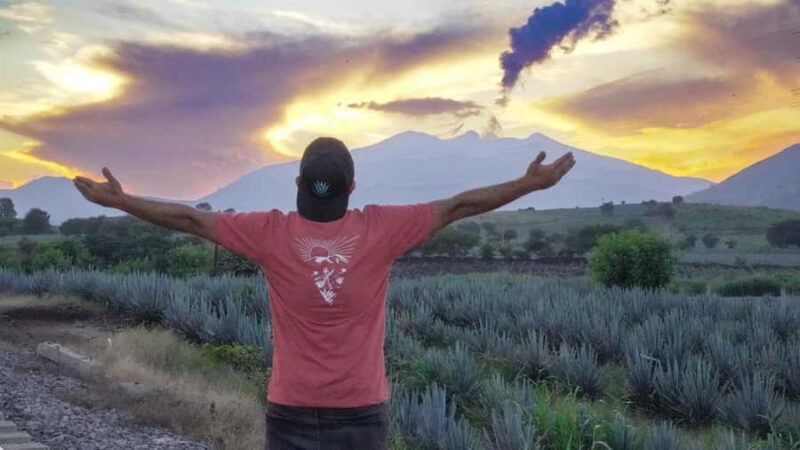 Premium Tequila Route with a professional tasting - FAQs