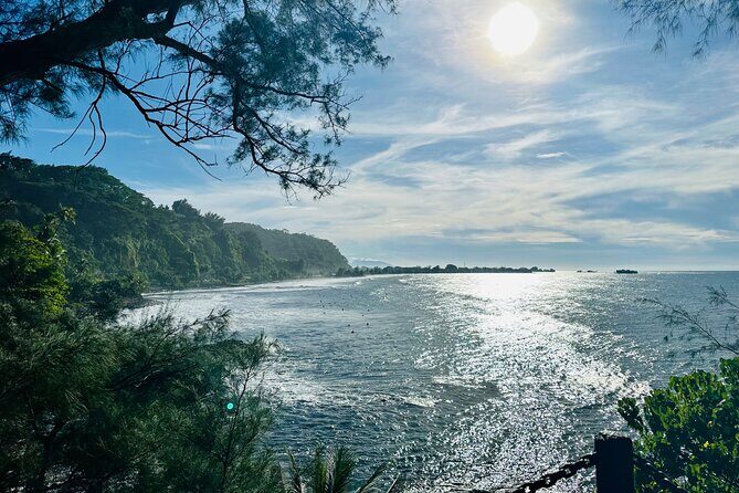 Premium Tour DE Tahiti, EN Half Day Privatised - Analyzing the Value