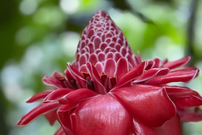 Premium Tour DE Tahiti, EN Half Day Privatised - The Sum Up