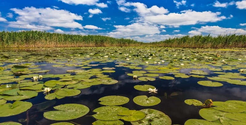 PREMIUM TOUR SMALL GROUP Bucharest: Day Trip to Danube Delta - Why This Tour Stands Out