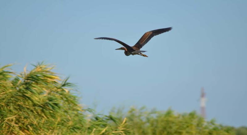 PREMIUM TOUR SMALL GROUP Bucharest-The Heart of Danube Delta - The Journey from Bucharest to Tulcea