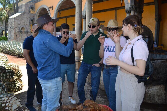 Premium Tour to the Tequila Route with Professional Tasting - Key Points