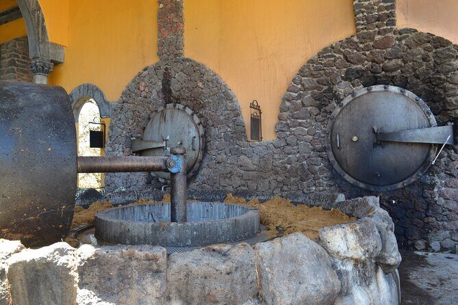 Premium Tour to the Tequila Route with Professional Tasting - Logistics and Practicalities