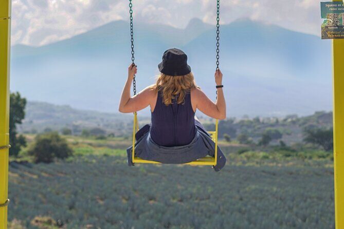 Premium Tour to the Tequila Route with Professional Tasting - The Sum Up