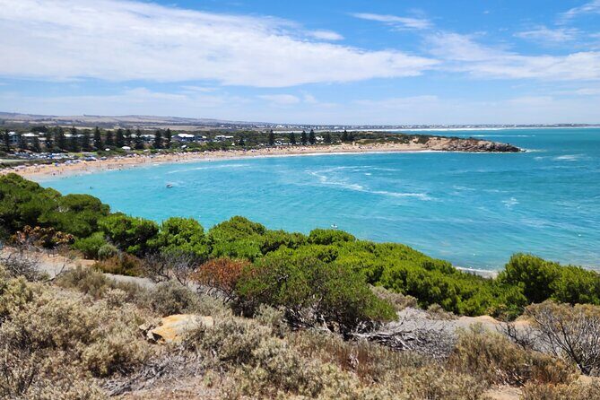 Premium Victor Harbor, Port Elliot and d'Arenberg Minibus Tour - The Sum Up
