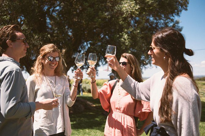 Premium Vineyard Tour & Tasting - Exploring the Premium Vineyard Tour & Tasting in Albufeira