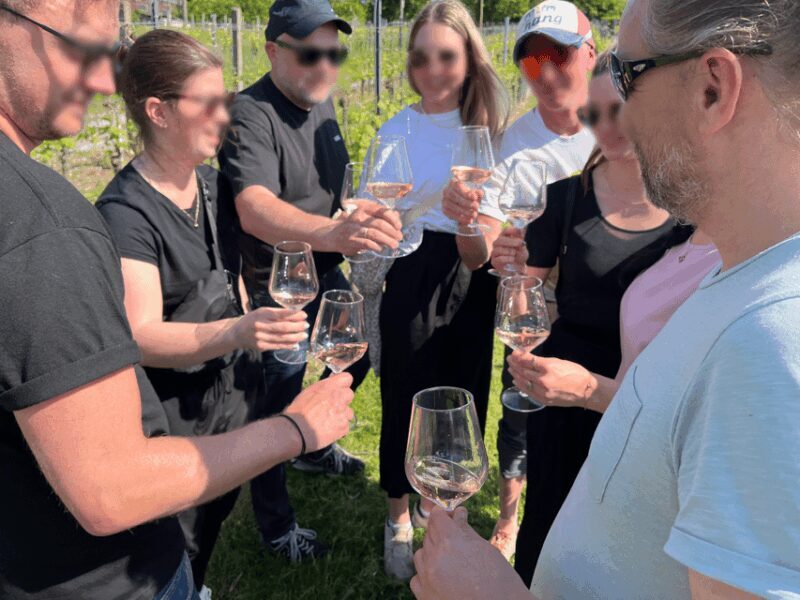 Premium wine hike Stuttgart with games and winemaker's snack - Frequently Asked Questions