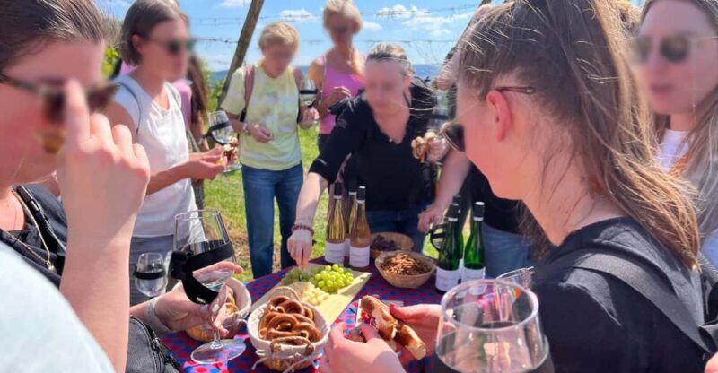 Premium wine hike Stuttgart with games and winemaker's snack - Final Thoughts