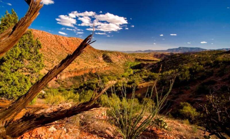 Prescott: Copper Canyon Hummer Tour - Value for Money
