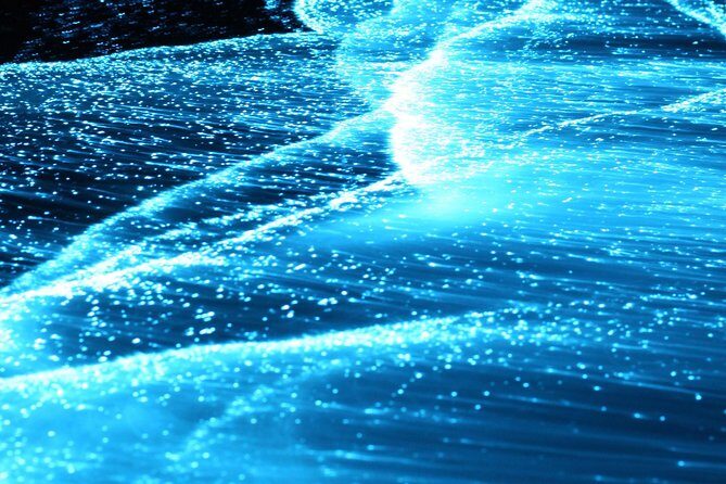 Preserving Baby Sea Turtles And Filling You With Energy In Bioluminescent Lights - Final Thoughts