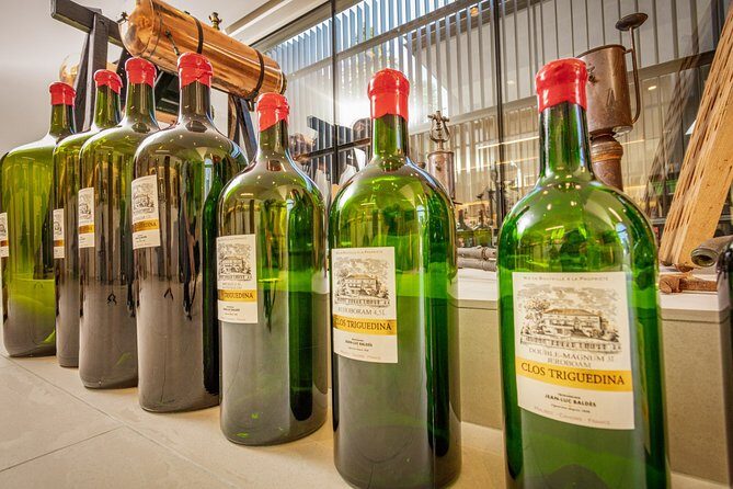 Prestige visit and tasting of 5 wines - Exploring Clos Triguedina: A Window into Cahors Winemaking