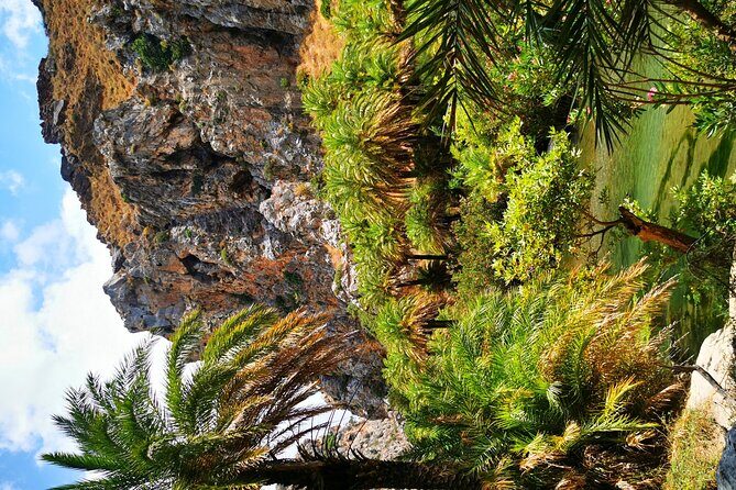 Preveli Beach & Palm Forest :Full-Day Tour with Lunch Box - Key Points