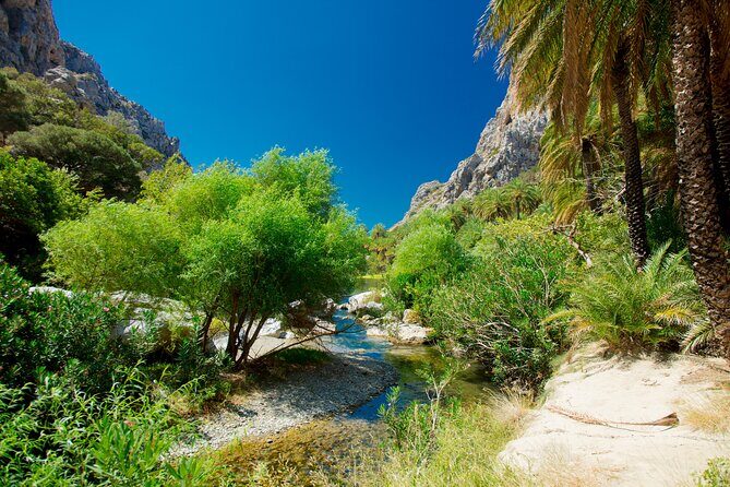Preveli Beach & Palm Forest :Full-Day Tour with Lunch Box - Final Thoughts: Is It Worth It?