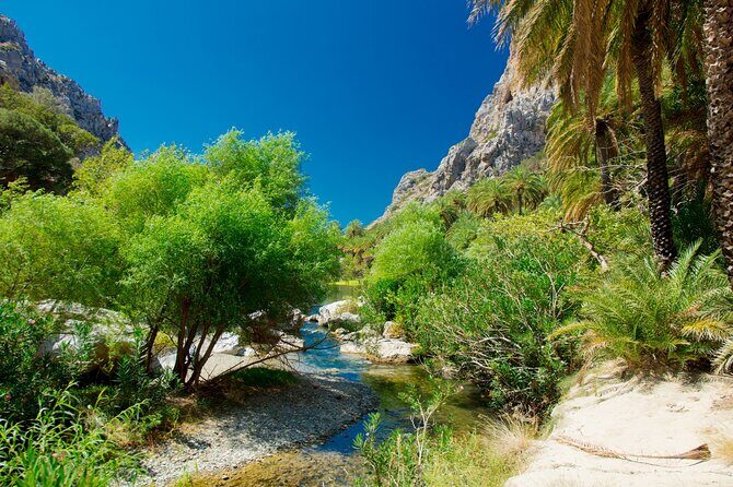 Preveli Palm Beach Boat Cruise & Rethymnon Town from Heraklion - Final Thoughts