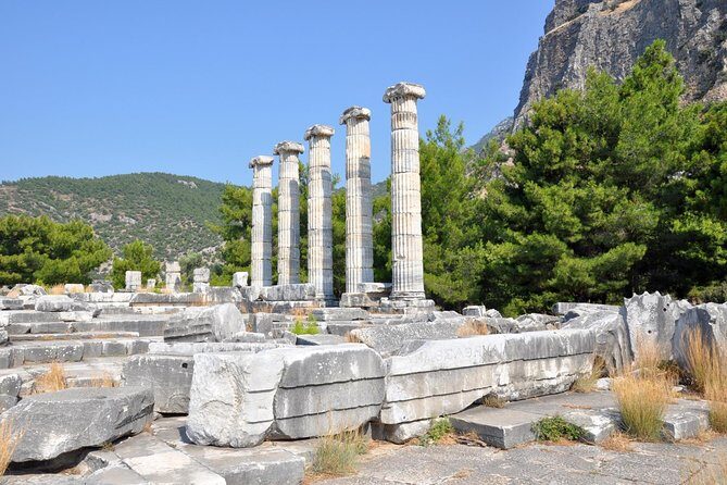Priene Miletos Didyma Tour From Kusadasi / Selcuk Hotels - What the Tour Includes & What You Should Know