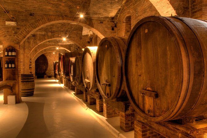 Primitivo and Negroamaro wine tour: a visit to two wineries and typical lunch. From Lecce - Key Points