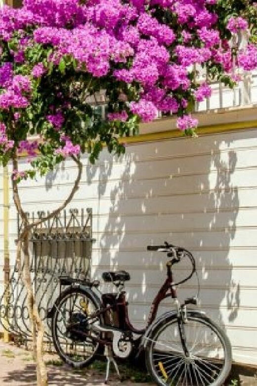 Prince's Island Group Tour - Key Points