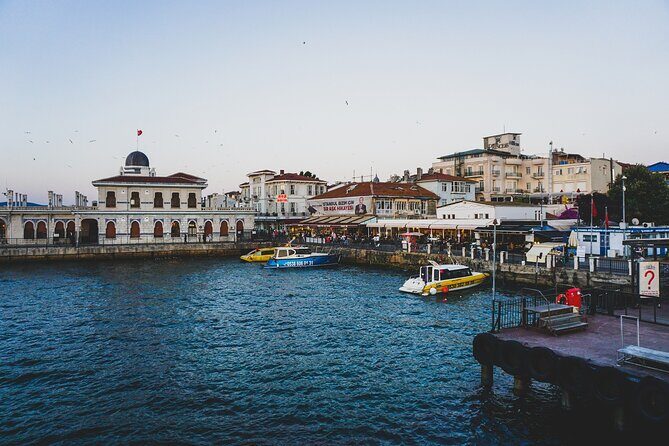 Princes' Islands Cruise with Lunch and Transfer Full-Day Tour - Who Is This Tour Best For?