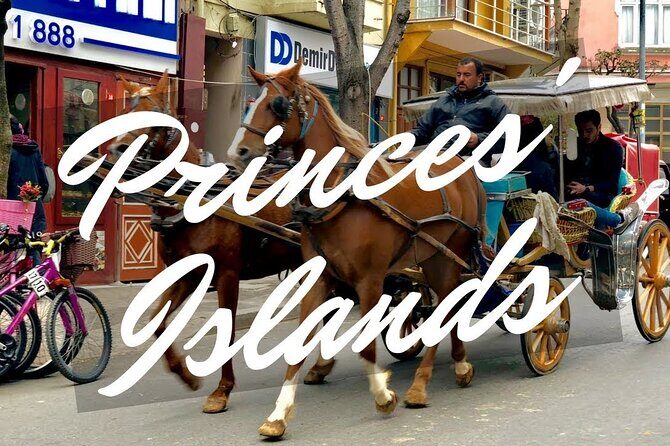 Princess Island Tour with Lunch & Ferry Ride - Who Will Love This Tour?