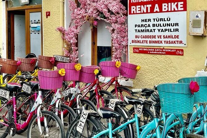 Princess Islands Daily Tour from Istanbul - Who Will Love This Tour?