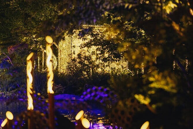 Princess Kaguya's Glowing Garden Pass in Sakuramachi Kumamoto - Who Will Love This Tour?