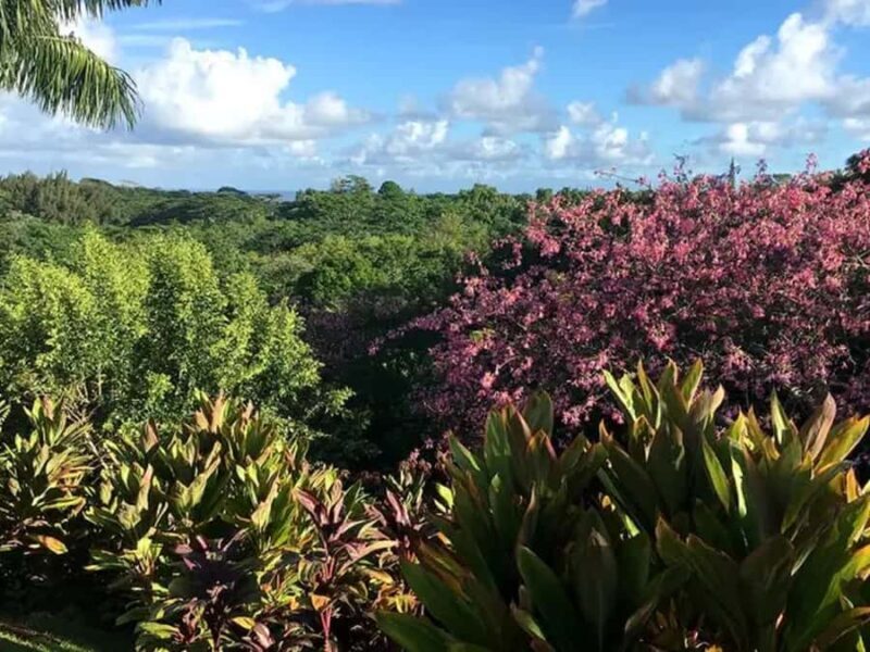 Princeville: Guided Botanical Gardens and Chocolate Tour - Key Points