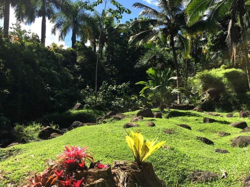 Princeville: Guided Botanical Gardens and Chocolate Tour - Value and Pricing Analysis